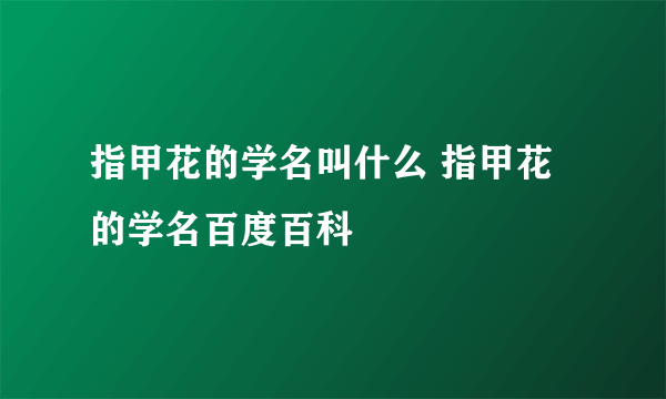 指甲花的学名叫什么 指甲花的学名百度百科