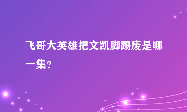 飞哥大英雄把文凯脚踢废是哪一集？