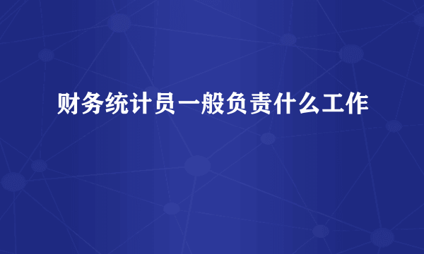 财务统计员一般负责什么工作