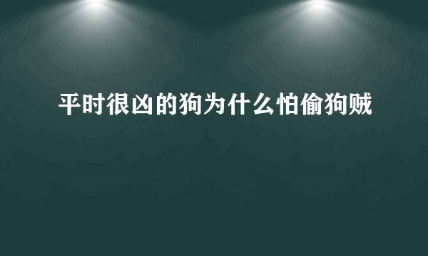 平时很凶的狗为什么怕偷狗贼