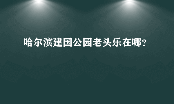 哈尔滨建国公园老头乐在哪？