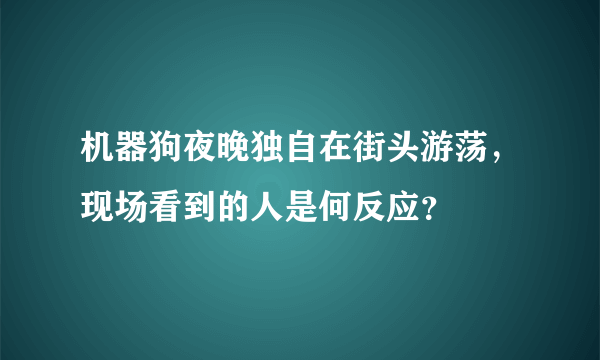 机器狗夜晚独自在街头游荡，现场看到的人是何反应？