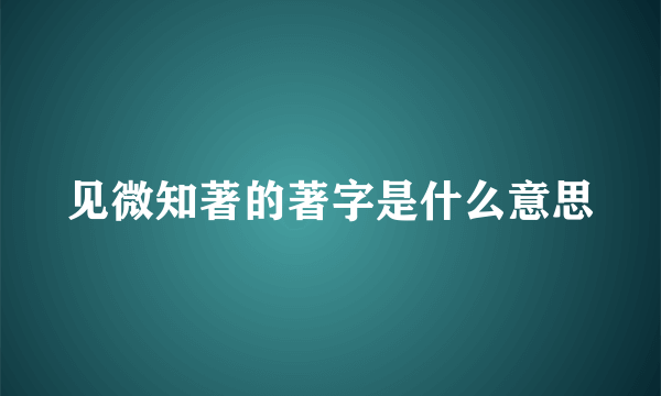 见微知著的著字是什么意思