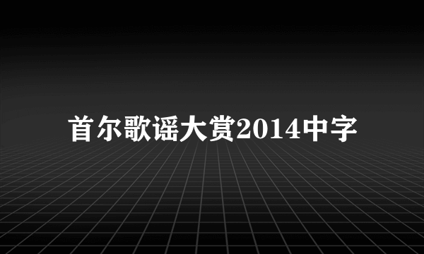 首尔歌谣大赏2014中字