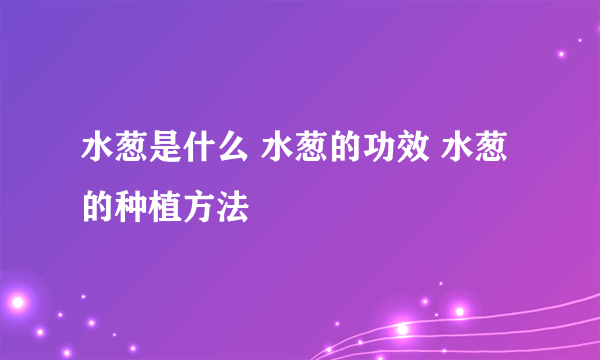 水葱是什么 水葱的功效 水葱的种植方法