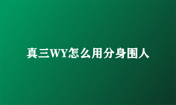 真三WY怎么用分身围人