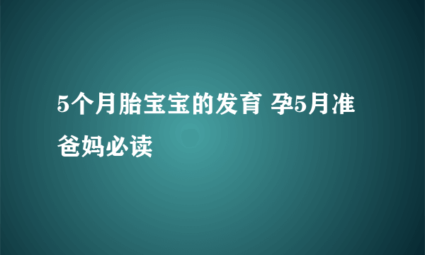 5个月胎宝宝的发育 孕5月准爸妈必读