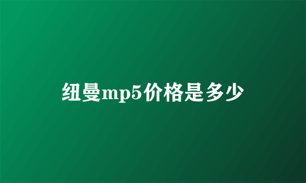 纽曼mp5价格是多少