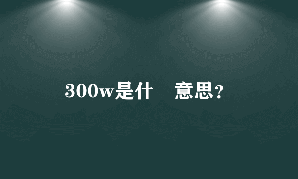 300w是什麼意思？