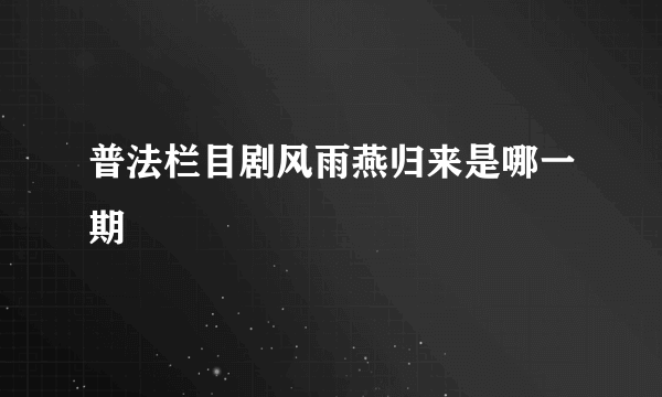 普法栏目剧风雨燕归来是哪一期