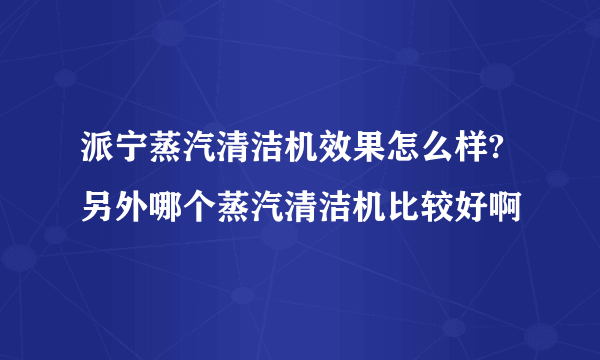 派宁蒸汽清洁机效果怎么样?另外哪个蒸汽清洁机比较好啊