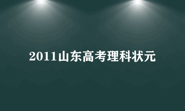 2011山东高考理科状元