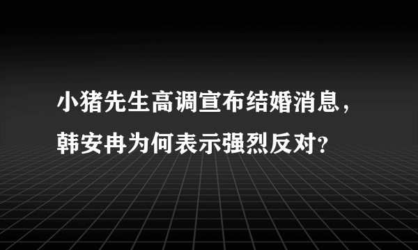 小猪先生高调宣布结婚消息，韩安冉为何表示强烈反对？