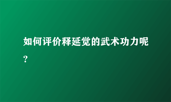 如何评价释延觉的武术功力呢？