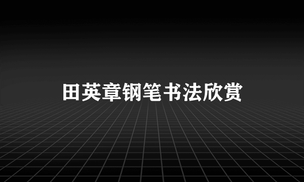 田英章钢笔书法欣赏