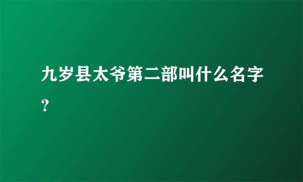 九岁县太爷第二部叫什么名字？