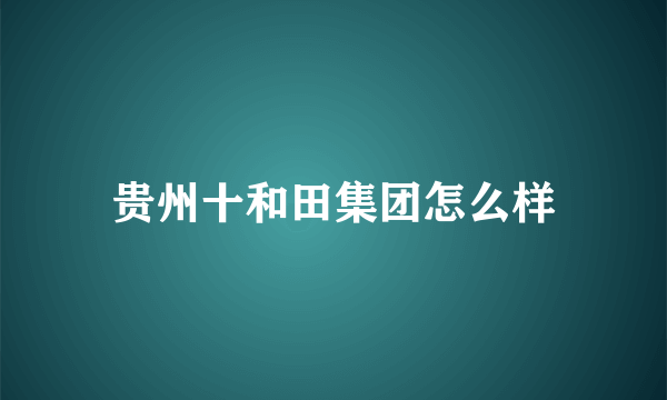 贵州十和田集团怎么样