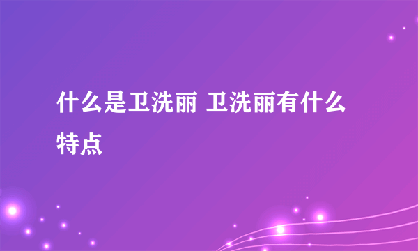 什么是卫洗丽 卫洗丽有什么特点