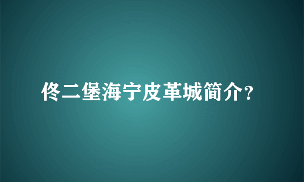 佟二堡海宁皮革城简介？