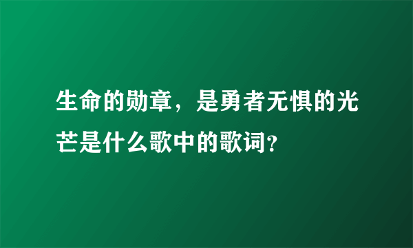 生命的勋章，是勇者无惧的光芒是什么歌中的歌词？