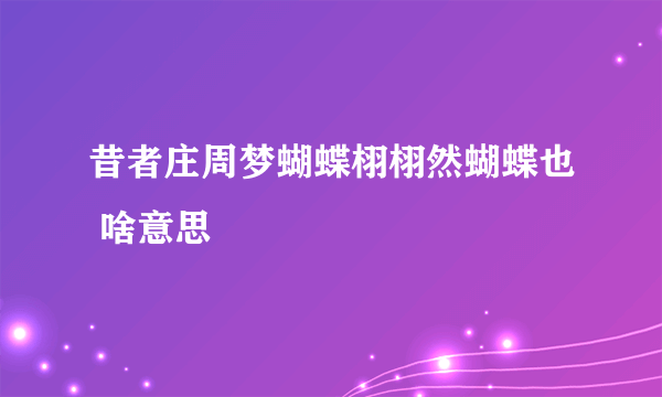 昔者庄周梦蝴蝶栩栩然蝴蝶也 啥意思