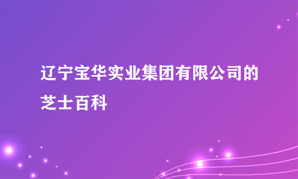 辽宁宝华实业集团有限公司的芝士百科