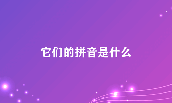 它们的拼音是什么