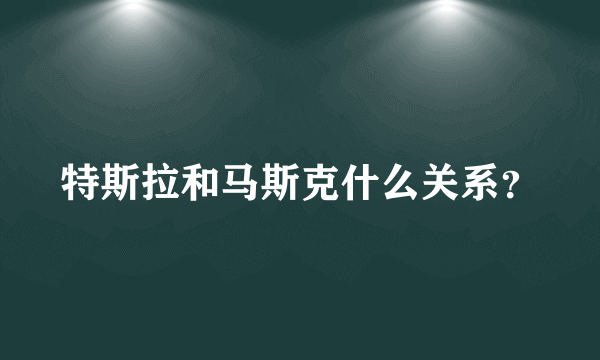 特斯拉和马斯克什么关系？