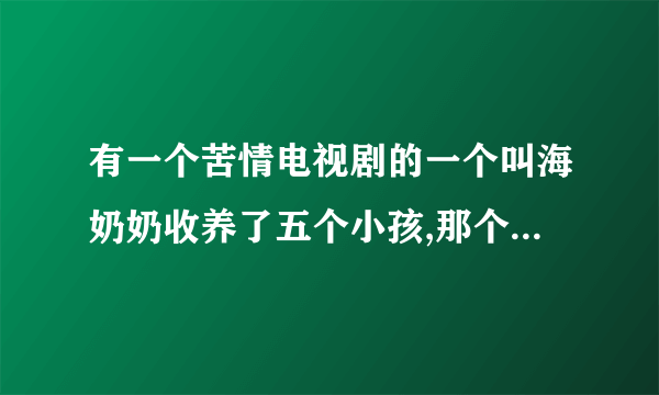 有一个苦情电视剧的一个叫海奶奶收养了五个小孩,那个电视剧叫什么名字