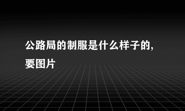 公路局的制服是什么样子的,要图片