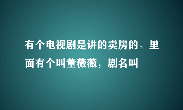 有个电视剧是讲的卖房的。里面有个叫董薇薇，剧名叫