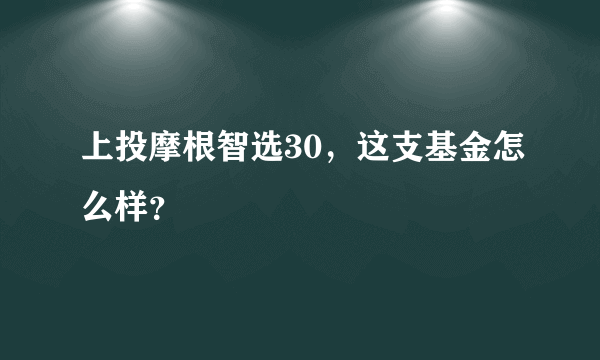 上投摩根智选30，这支基金怎么样？