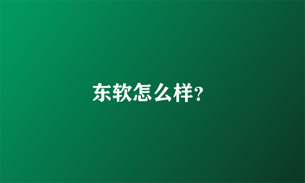 东软怎么样？