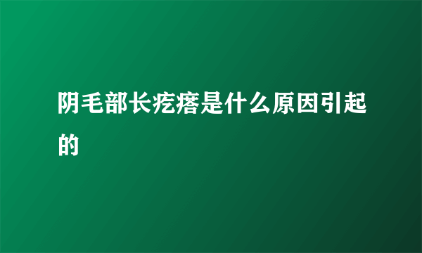 阴毛部长疙瘩是什么原因引起的