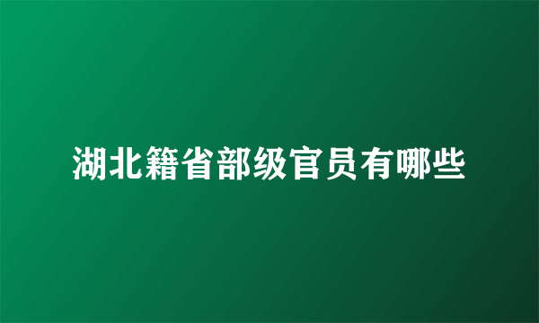 湖北籍省部级官员有哪些