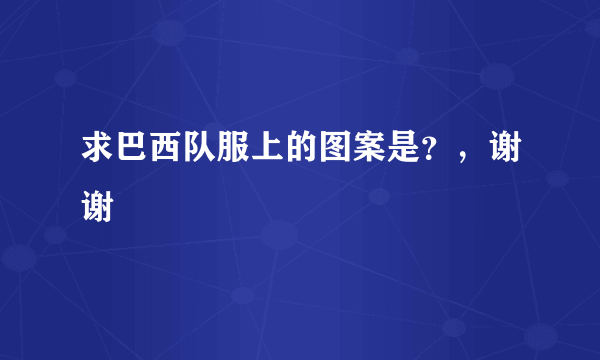 求巴西队服上的图案是？，谢谢