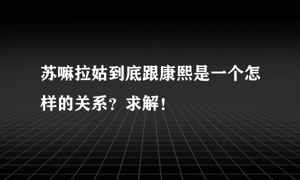 苏嘛拉姑到底跟康熙是一个怎样的关系？求解！