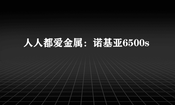 人人都爱金属：诺基亚6500s