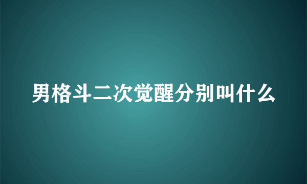 男格斗二次觉醒分别叫什么