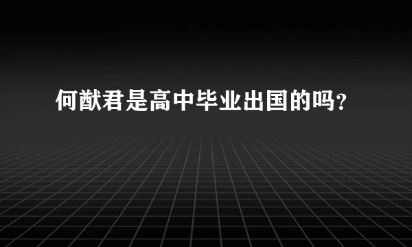 何猷君是高中毕业出国的吗？