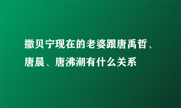 撒贝宁现在的老婆跟唐禹哲、唐晨、唐沸潮有什么关系