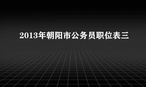 2013年朝阳市公务员职位表三