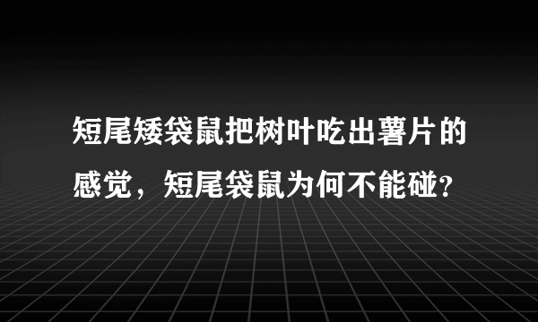 短尾矮袋鼠把树叶吃出薯片的感觉，短尾袋鼠为何不能碰？