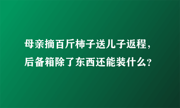 母亲摘百斤柿子送儿子返程，后备箱除了东西还能装什么？