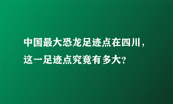 中国最大恐龙足迹点在四川，这一足迹点究竟有多大？