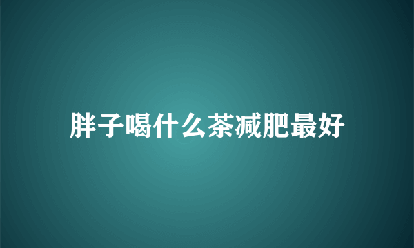 胖子喝什么茶减肥最好