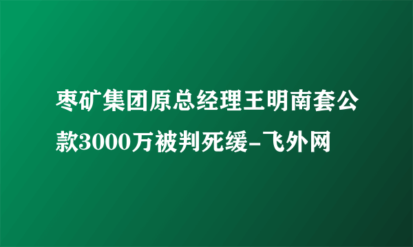 枣矿集团原总经理王明南套公款3000万被判死缓-飞外网