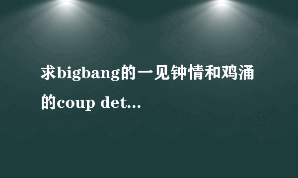 求bigbang的一见钟情和鸡涌的coup detat中文歌词