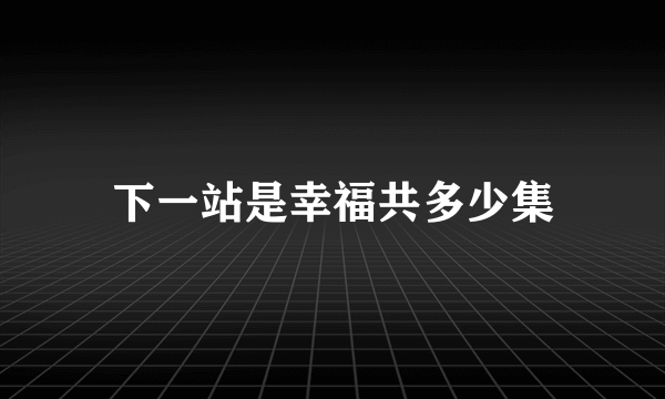 下一站是幸福共多少集