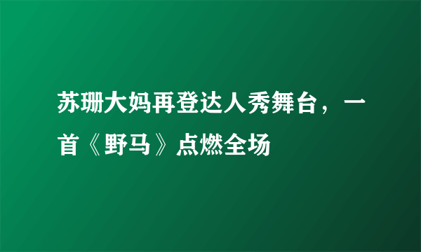 苏珊大妈再登达人秀舞台，一首《野马》点燃全场